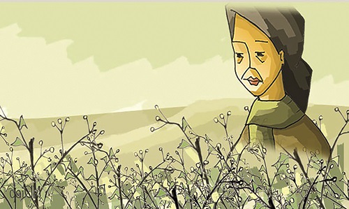 Minh họa sưu tầm