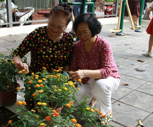 Các cán bộ, hội viên phụ nữ thay nhau bảo vệ, chăm sóc để hoa luôn khoe sắc.