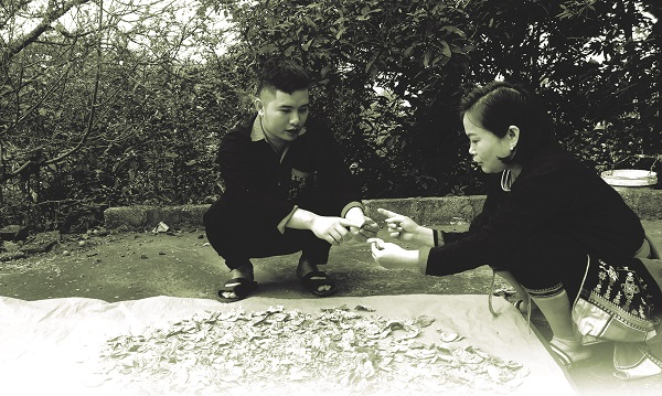 Chị Lăng Thị Tuất- Chủ tịch Hội LHPN xã Ba Vì, cũng là một người trẻ nối nghiệp ông cha phát triển nghề thuốc nam truyền thống.