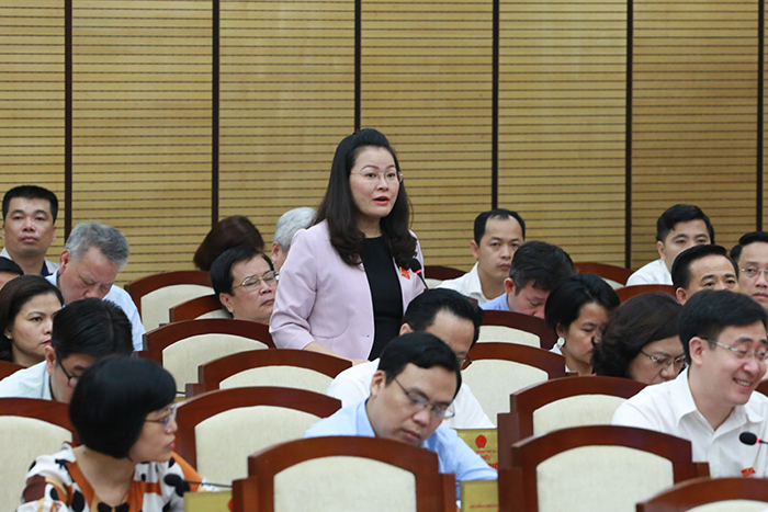Đại biểu Phạm Thị Thanh Hương nêu câu hỏi