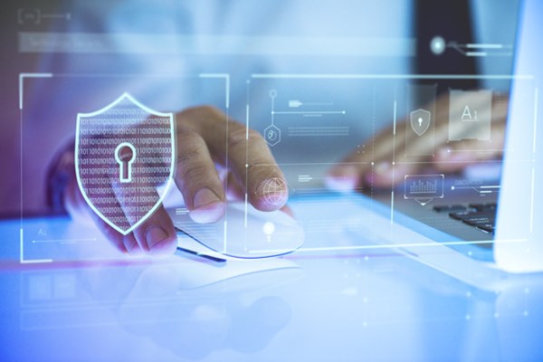 Việt Nam phấn đấu thuộc nhóm 50 nước dẫn đầu về Chính phủ điện tử - ảnh 1