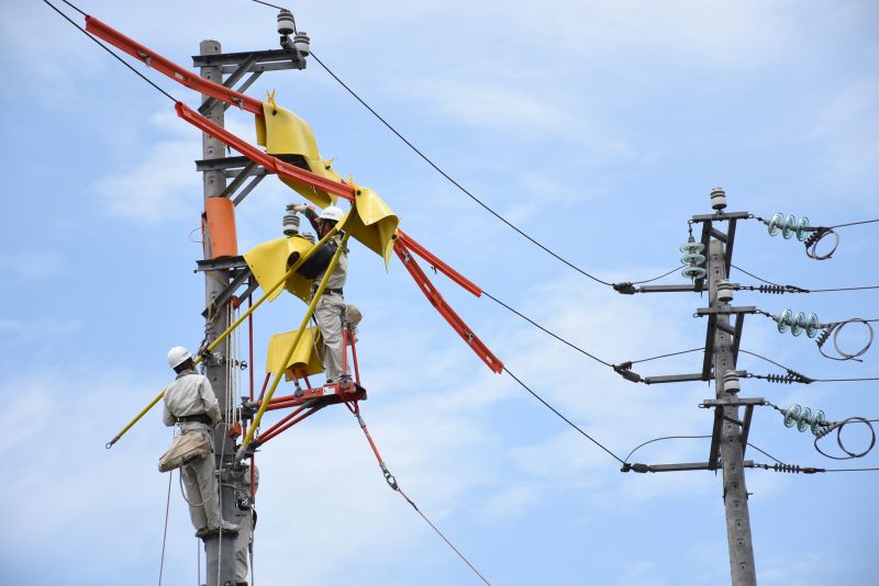 Cán bộ, công nhân viên EVNHANOI làm việc dưới trời nắng 38-40 độ C.