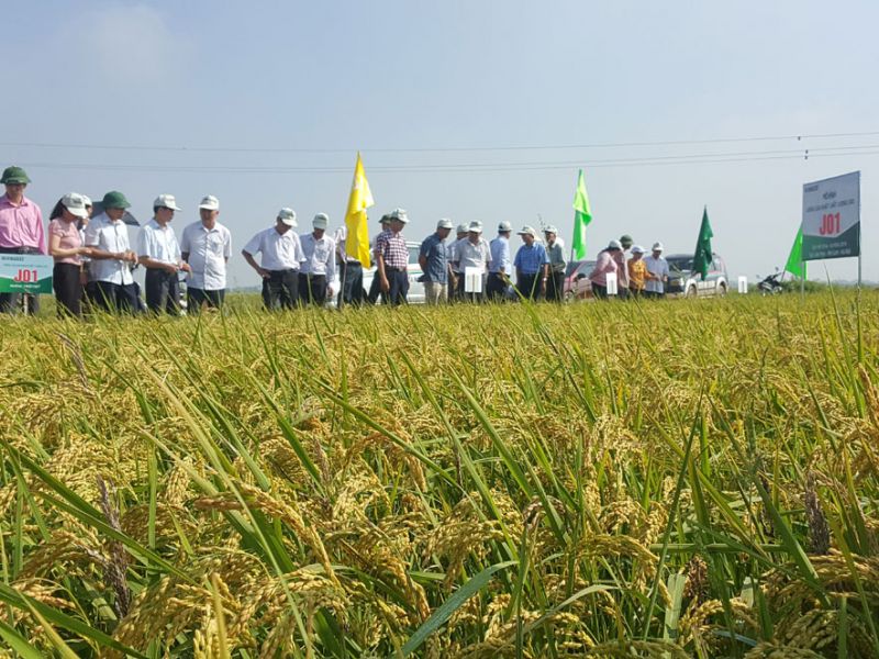 Chú thcish Chú thcish