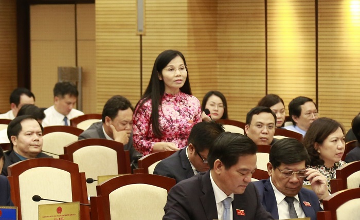 Đại biểu Trần Thị V&acirc;n Hoa