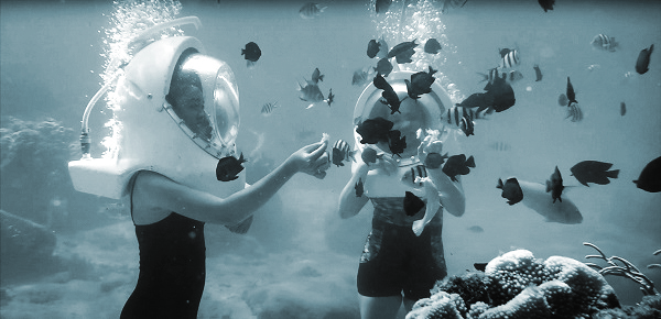 Trải nghiệm đi bộ dưới biển khiến con người v&agrave; sinh vật biển kh&ocirc;ng c&oacute; khoảng c&aacute;ch