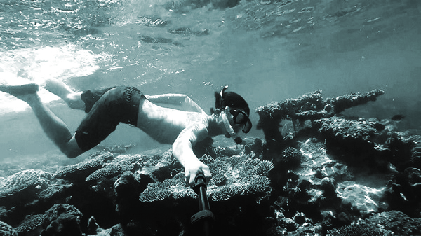 Thú vị, hấp dẫn nhưng tiềm ẩn nhiều rủi ro - ảnh 2