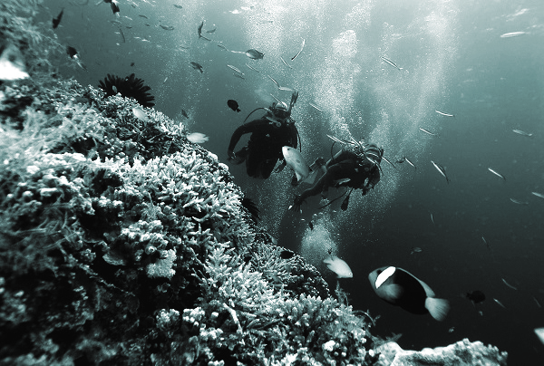 Dịch vụ lặn biển phổ biến tại Ph&uacute; Quốc