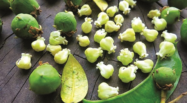 Mùa hoa Tháng 7 - ảnh 2