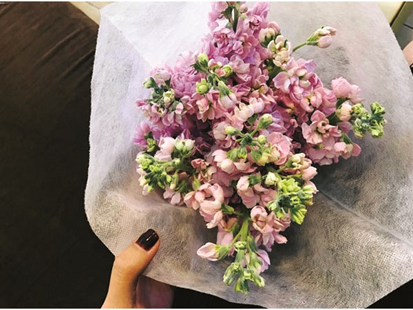 Mùa hoa Tháng 7 - ảnh 3