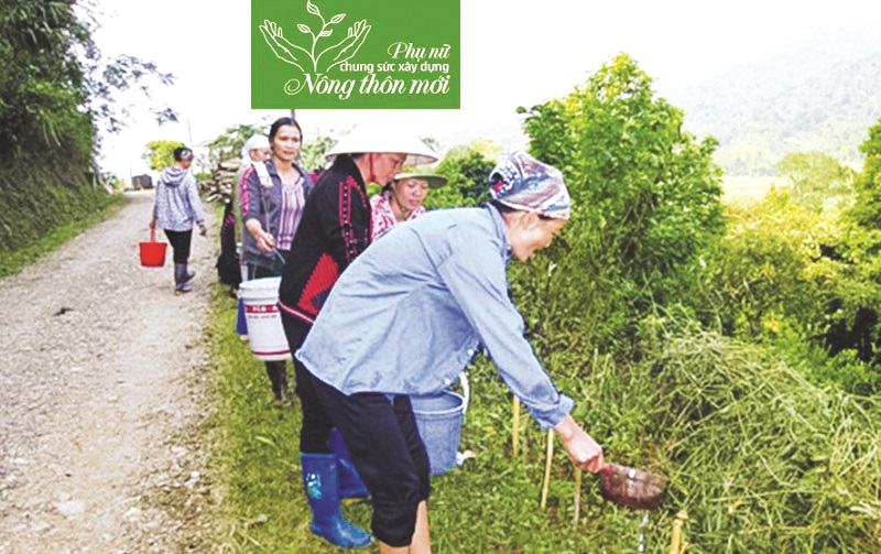 Lao động nữ trong nông nghiệp chiếm 63,4% (nguồn: Itn)