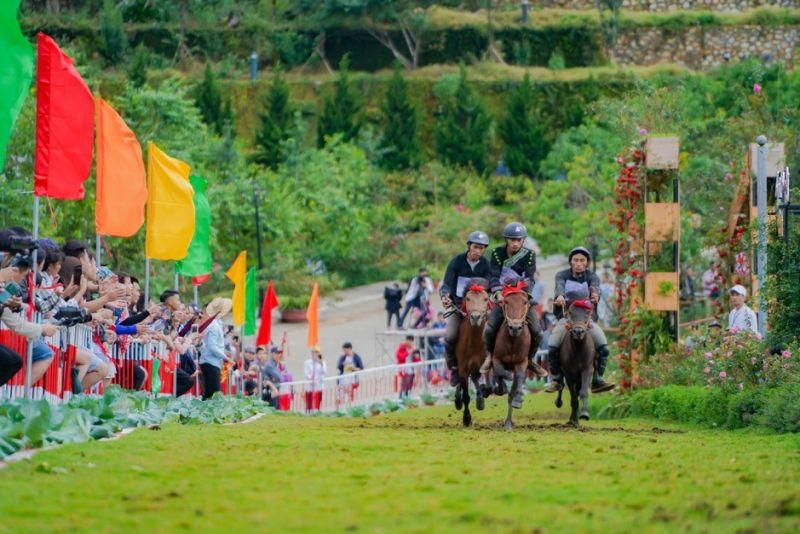 Kh&iacute; hậu m&aacute;t mẻ, nhiều trải nghiệm độc đ&aacute;o như &ldquo;V&oacute; ngựa tr&ecirc;n m&acirc;y&rdquo; ở SaPa cũng l&agrave; điểm du kh&aacute;ch lựa chọn cho h&agrave;nh tr&igrave;nh kh&aacute;m ph&aacute; T&acirc;y Bắc