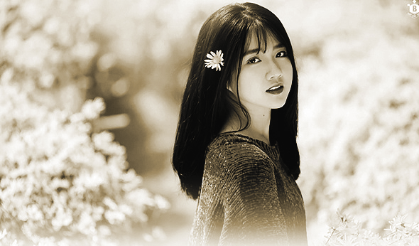 Ảnh minh họa Ảnh minh họa