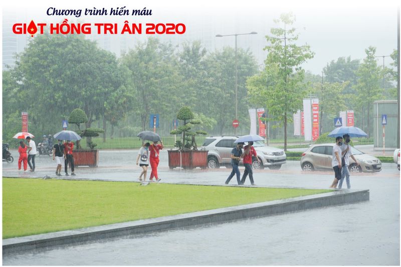 Dù trời mưa, vẫn có rất nhiều tình nguyện viên tới tham gia hiến máu nhân đạo tại Trung tâm Hội nghị Quốc gia ở Hà Nội.