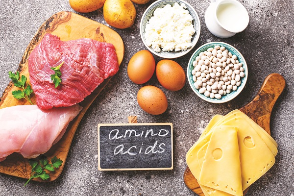 Axit amin từ lâu đã được khám phá với nhiều vai trò và chức năng sinh lý đối với cơ thể.