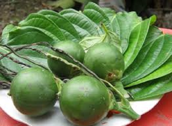 “Chuyển phát nhanh” trầu cau cho bà nội - ảnh 1