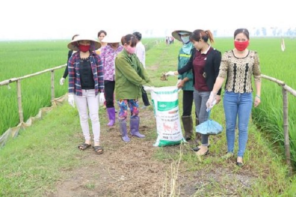 Các cấp Hội PN Hà Nội tích cực tham gia mô hình “Sạch đồng ruộng”