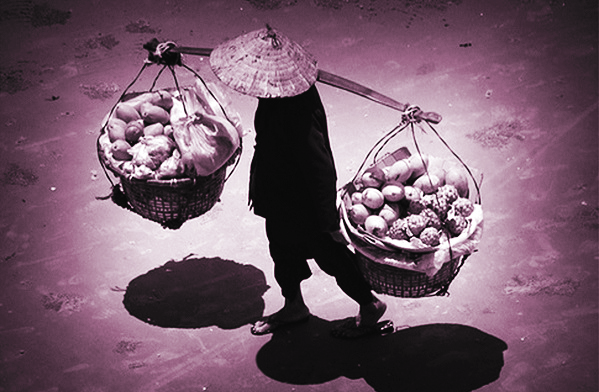 Ảnh minh họa Ảnh minh họa