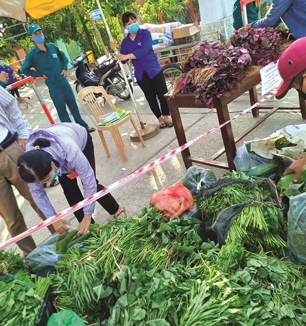 Khu tập kết rau từ mô hình  Khu tập kết rau từ mô hình