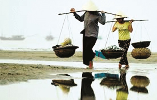 Ảnh minh họa Ảnh minh họa