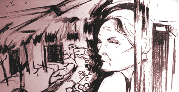 Minh họa sưu tầm