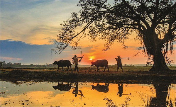 Ảnh minh họa Ảnh minh họa