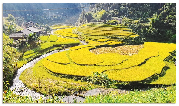 Những thửa ruộng bậc thang nổi tiếng ở Mù Cang Chải Những thửa ruộng bậc thang nổi tiếng ở Mù Cang Chải