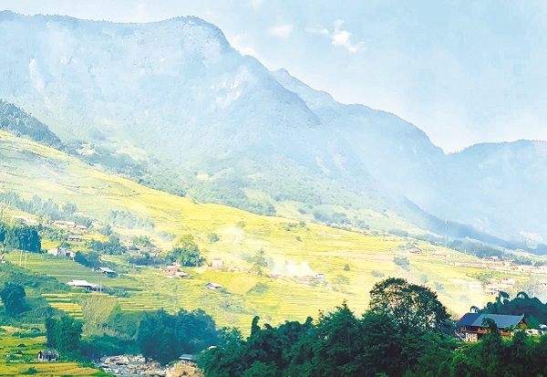 Mùa vàng tuyệt đẹp tại xã Tả Văn, thị trấn Sapa Mùa vàng tuyệt đẹp tại xã Tả Văn, thị trấn Sapa