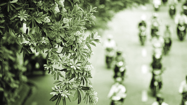 Ảnh minh họa Ảnh minh họa