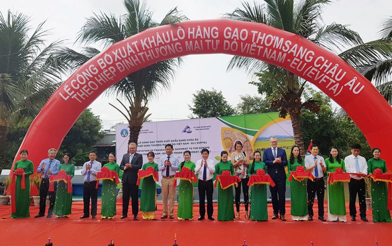 Lễ công bố xuất khẩu lô hàng gạo thơm sang châu Âu Lễ công bố xuất khẩu lô hàng gạo thơm sang châu Âu