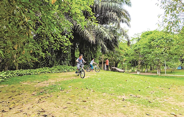 Khu vui chơi trẻ em tại c&ocirc;ng vi&ecirc;n m&ugrave;a Hạ