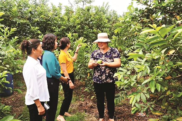 C&ugrave;ng với việc thực hiện hiệu quả ti&ecirc;u ch&iacute; &ldquo;3 sạch&rdquo;, Hội LHPN huyện Gia L&acirc;m c&ograve;n t&iacute;ch cực thực hiện ti&ecirc;u ch&iacute; &ldquo;Sạch đồng ruộng&rdquo;.