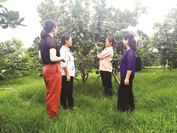 C&ugrave;ng với việc thực hiện hiệu quả ti&ecirc;u ch&iacute; &ldquo;3 sạch&rdquo;, Hội LHPN huyện Gia L&acirc;m c&ograve;n t&iacute;ch cực thực hiện ti&ecirc;u ch&iacute; &ldquo;Sạch đồng ruộng&rdquo;.