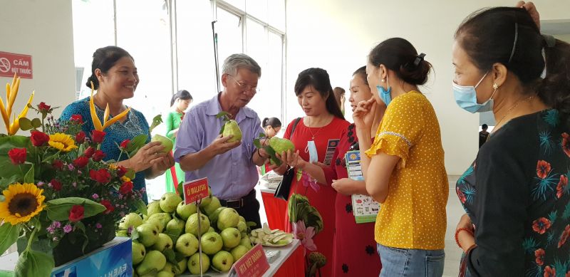 HTX Việt Doanh mang đến sản phẩm ổi giống Malaysia trồng trên đất Mê Linh HTX Việt Doanh mang đến sản phẩm ổi giống Malaysia trồng trên đất Mê Linh