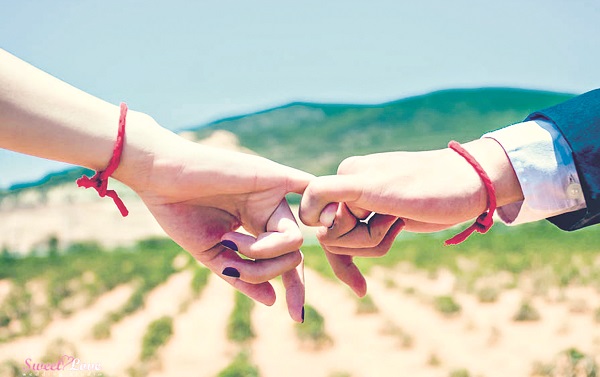 Hạnh phúc muộn màng - ảnh 3