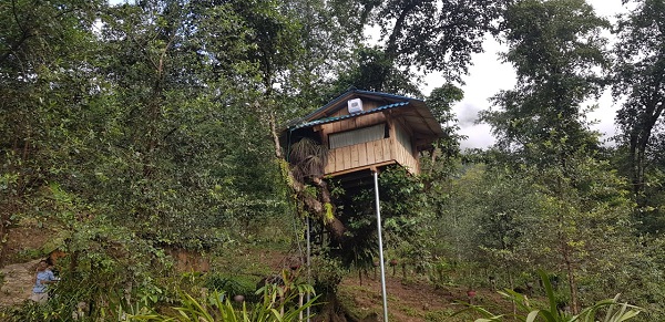 Nhà tổ chim ở bản Sin, Suối Hồ