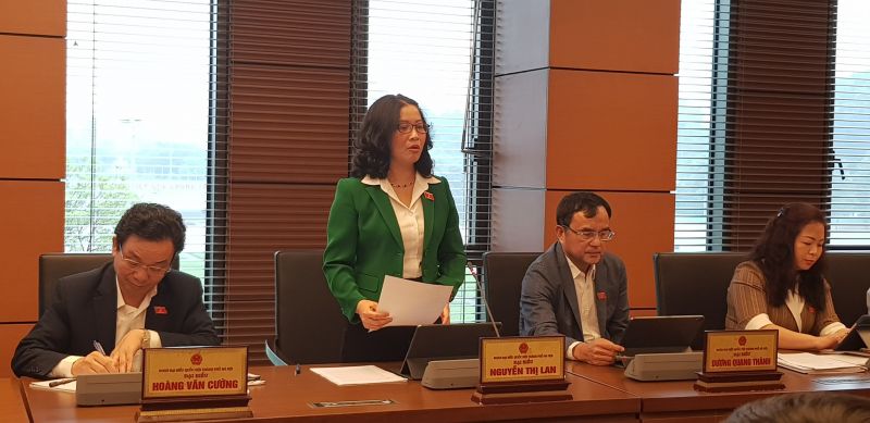 Đại biểu Nguyễn Thị Mai