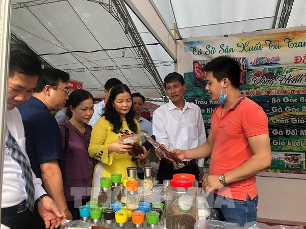 Tuần hàng Việt tại quận Hai Bà Trưng. Tuần hàng Việt tại quận Hai Bà Trưng.