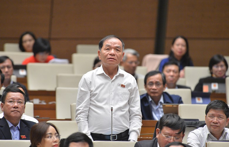 Đại biểu Lê Thanh Vân (đoàn Cà Mau)