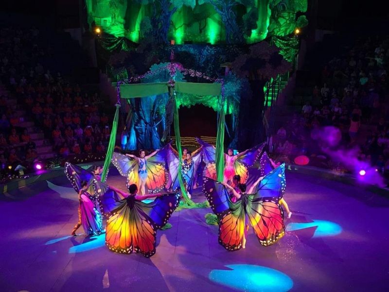 Chương tr&igrave;nh được đầu tư c&ocirc;ng phu, hấp dẫn