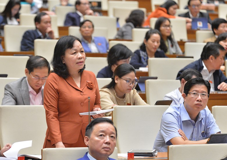 Đại biểu Nguyễn Thị Mai Hoa (đoàn Đồng Tháp).