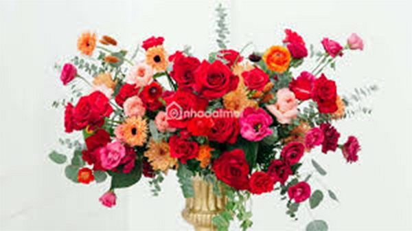 Buổi liên hoan kỳ lạ ngày 20/11... - ảnh 1