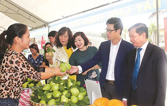 C&aacute;c đại biểu th&agrave;nh phố, huyện thăm quan gian h&agrave;ng giới thiệu sản phẩm tại huyện Ho&agrave;i Đức
