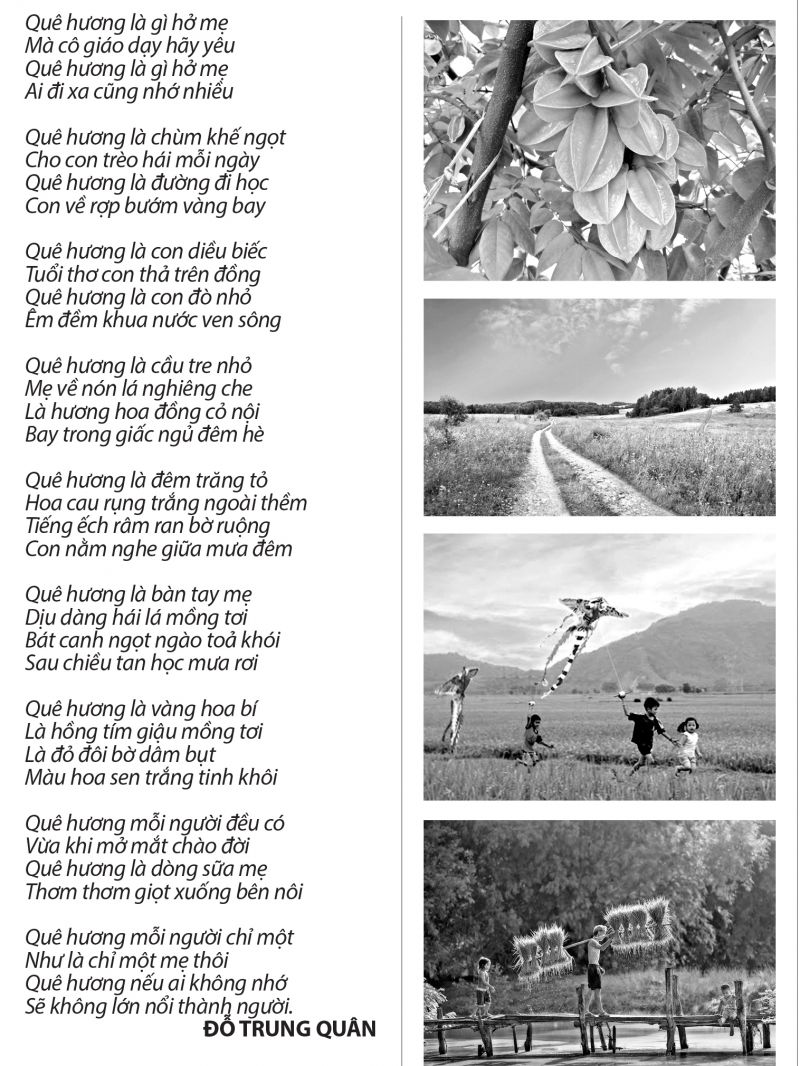 Bài học đầu cho con - ảnh 1