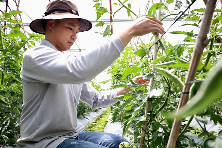 Chuỗi li&ecirc;n kết th&agrave;nh vi&ecirc;n HTX với doanh nghiệp