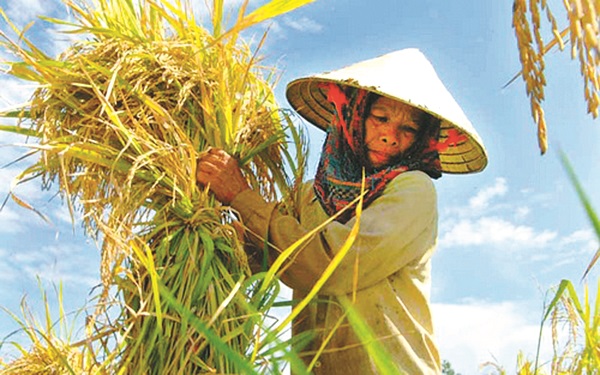 Ảnh minh họa.