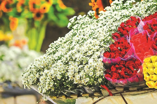 Hà Nội - mùa về trên những xe hoa - ảnh 1