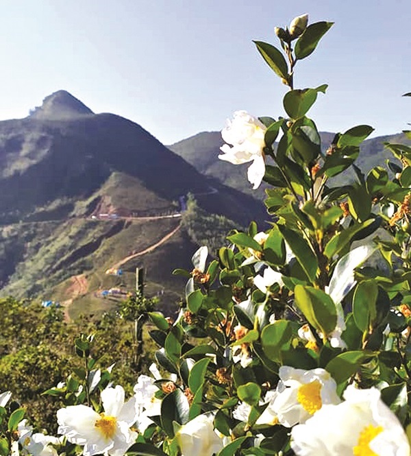 Bình Liêu - vẻ đẹp miền biên viễn - ảnh 2