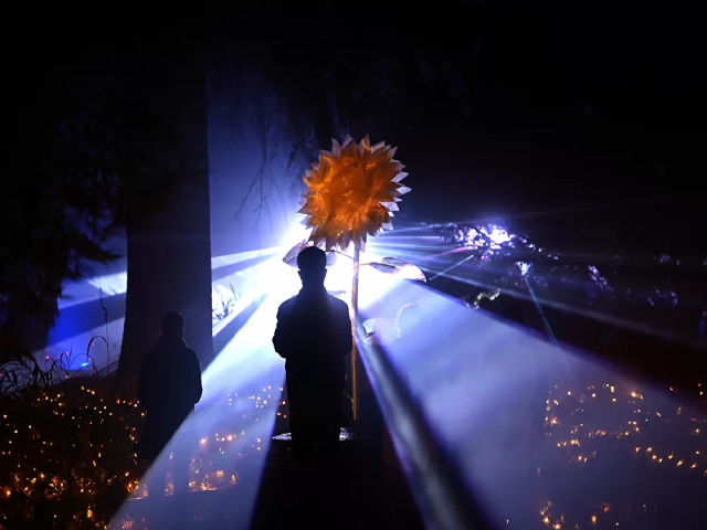 Dự án Khu vườn Giáng sinh trong Bách thảo Hoàng gia ở Madrid.