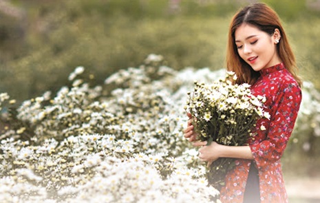 Chào nhé, cúc họa mi! - ảnh 2