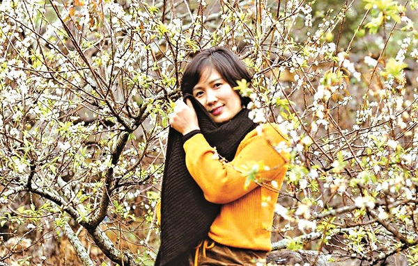 Chiêm ngưỡng hoa mận nở sớm ở Mộc Châu - ảnh 2